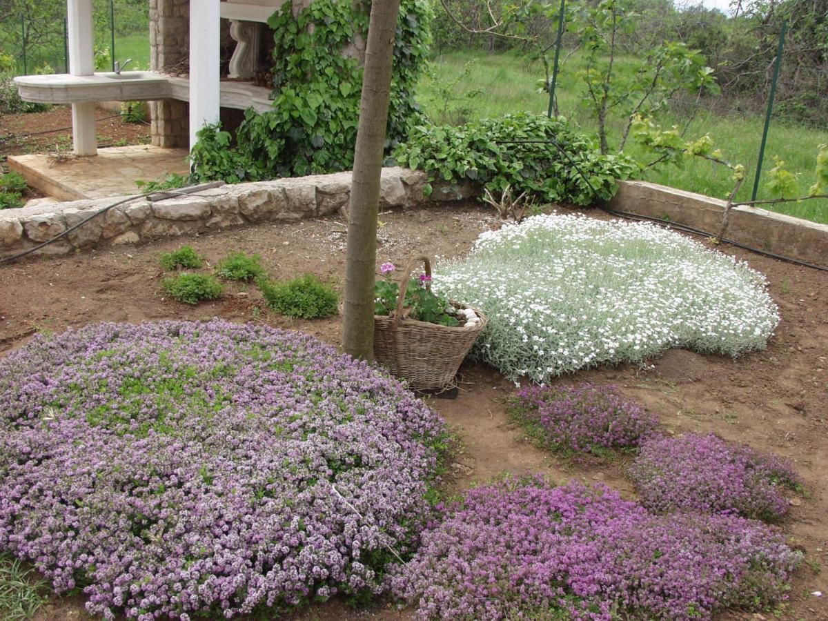 Holiday House "Lea" Lukoran Exterior photo